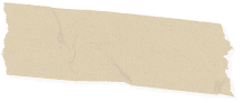 Pensil Agency Assets